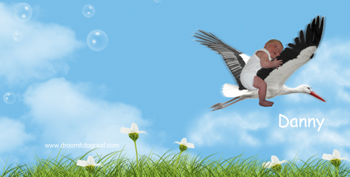 ooievaar_geboorteontwerp